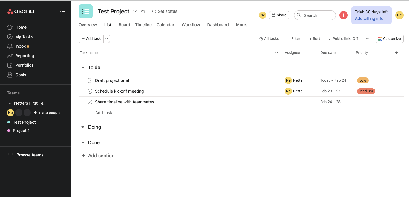 using project view for asana project management software