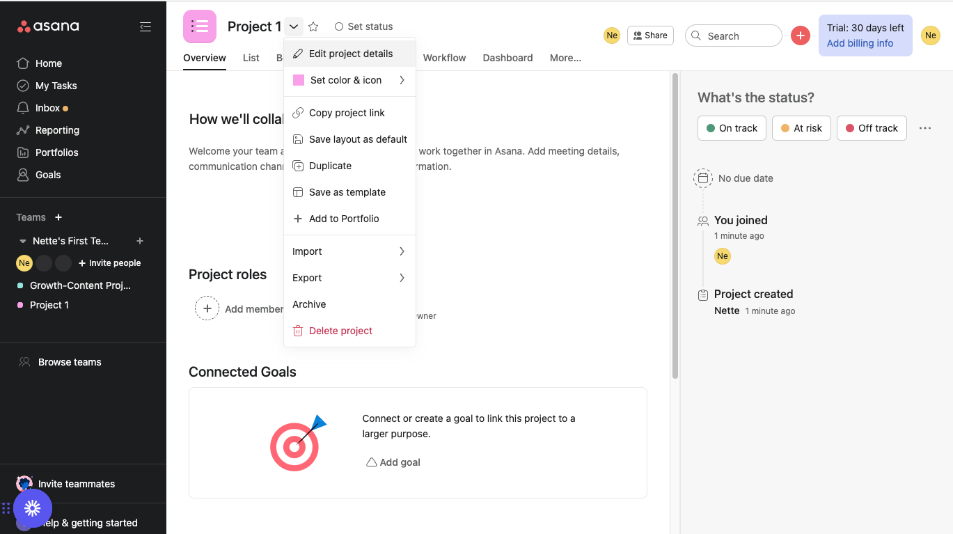 setting up a new project using asana project management software