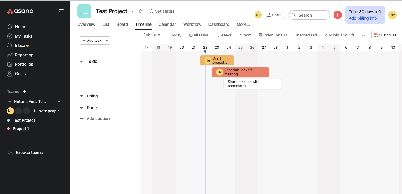 project timeline using asana project management software