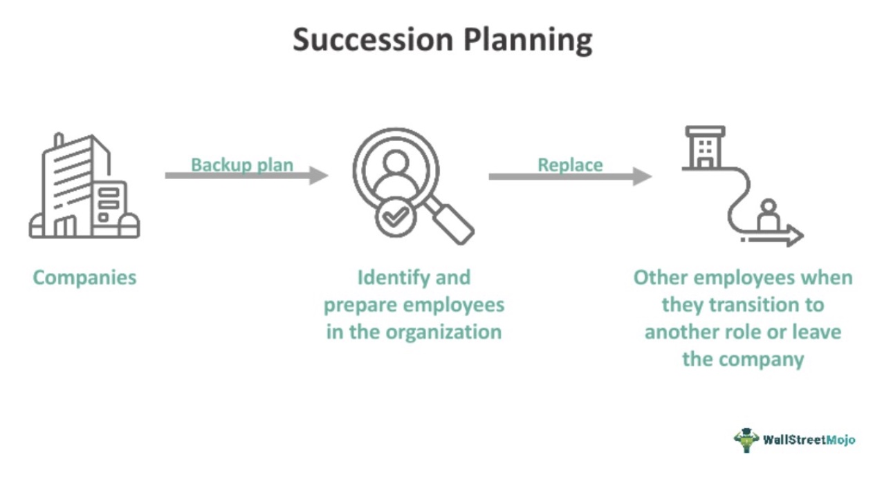 The succession planning process